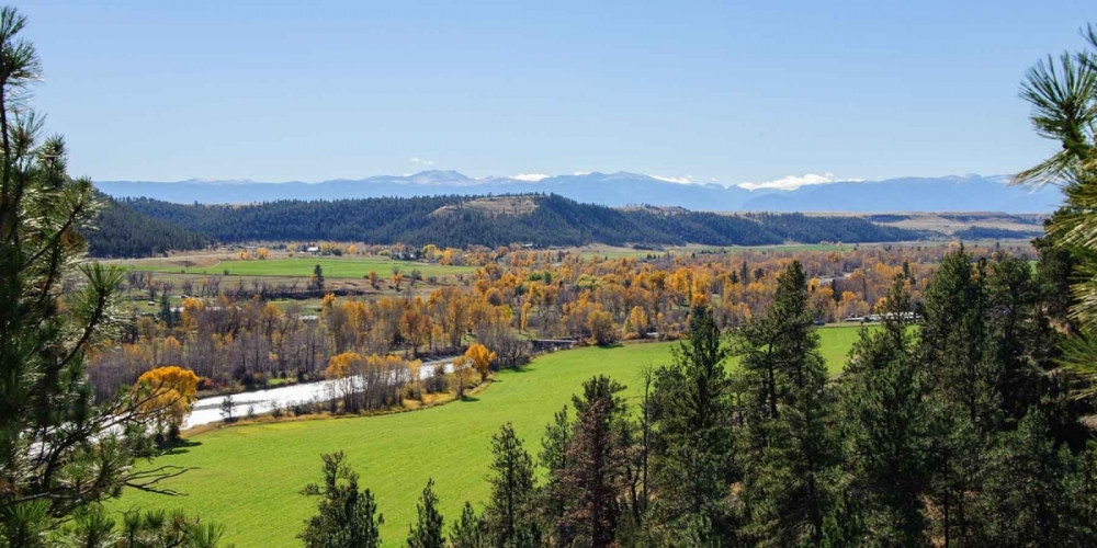 Beartooth Ranch featured image