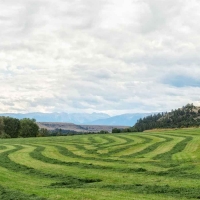 Beartooth Ranch images 3