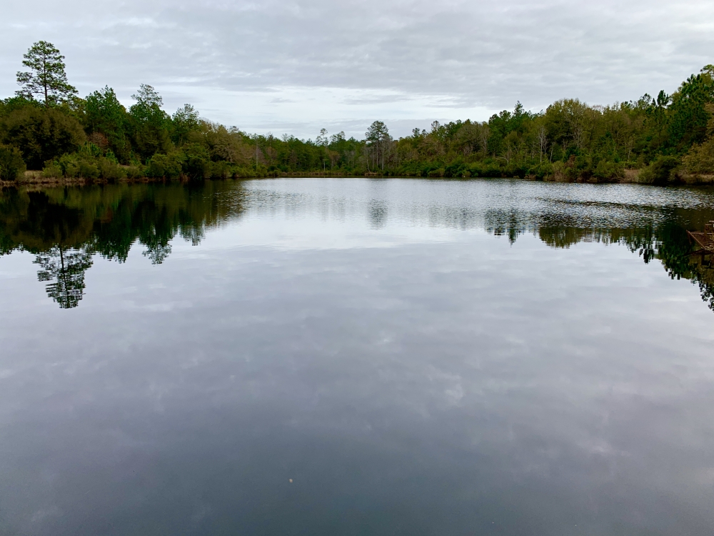 Latham Farm Lakes Hunting &nbsp; Timber Retreat featured image
