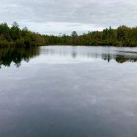 Latham Farm Lakes Hunting &nbsp; Timber Retreat