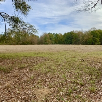 Latham Farm Lakes Hunting &nbsp; Timber Retreat images 4