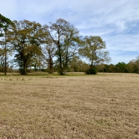 Latham Farm Lakes Hunting &nbsp; Timber Retreat images 5