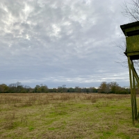 Latham Farm Lakes Hunting &nbsp; Timber Retreat images 2