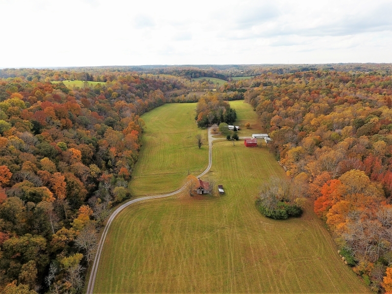 113 Acres Dickson County featured image