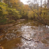 113 Acres Dickson County images 2