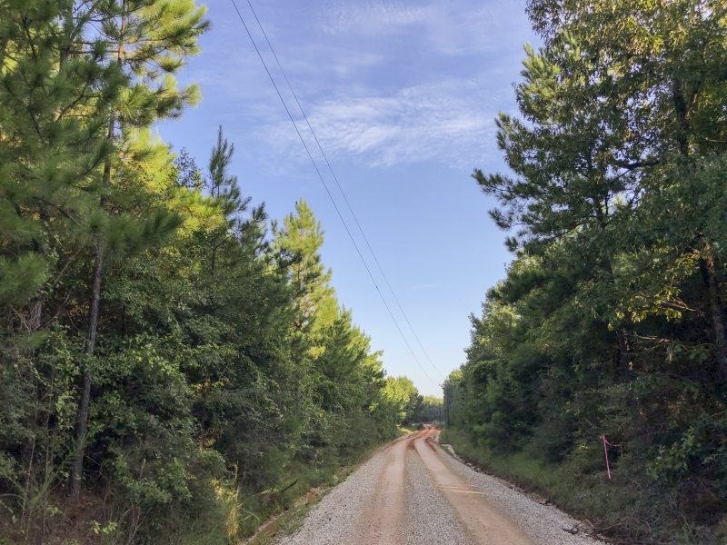 15 Acres &nbsp; Tevis featured image