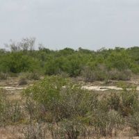 100-200 acre Deer Hunting Lease