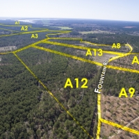 34 Acres &nbsp; Fountain Rd &nbsp; Brushy Creek &nbsp;   Tract A12