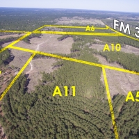 34 Acres &nbsp; Fountain Rd &nbsp; Brushy Creek &nbsp;   Tract A12 images 4