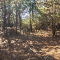 34 Acres &nbsp; Fountain Rd &nbsp; Brushy Creek &nbsp;   Tract A12 images 6