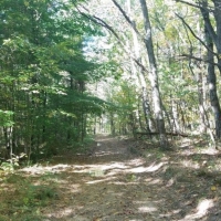 57 acres Timberland in Corning NY West Road images 5