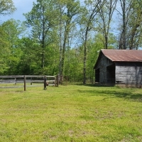 Country Home on 25 Acres For Sale in Doniphan  MO images 5
