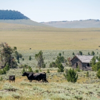 3 bar 2 Bighorns Ranch images 2