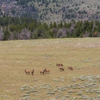 3 bar 2 Bighorns Ranch images 3
