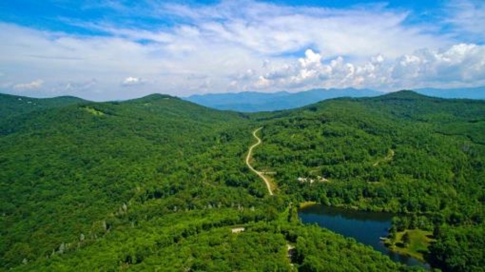 High Elevation Property For Sale in Asheville  NC featured image