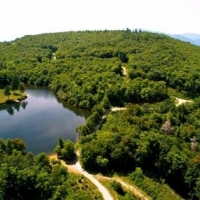 High Elevation Property For Sale in Asheville  NC images 2