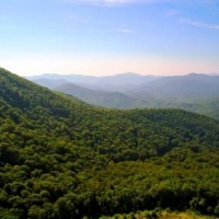 High Elevation Property For Sale in Asheville  NC images 4