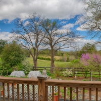 Mad Maggie Farm