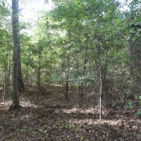 Well-Located Home or Subdivision Site images 2