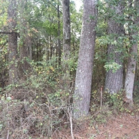 Well-Located Home or Subdivision Site images 4
