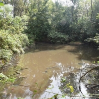 Well-Located Home or Subdivision Site images 5