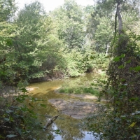 Well-Located Home or Subdivision Site images 6