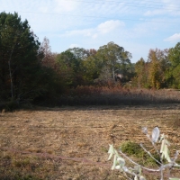 Lagrange City Limits Opportunity images 6