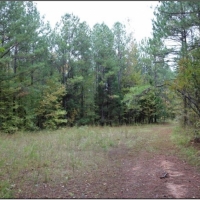 205 Acres in Monroe County in Aberdeen  MS
