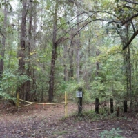 205 Acres in Monroe County in Aberdeen  MS images 2