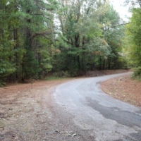 205 Acres in Monroe County in Aberdeen  MS images 3