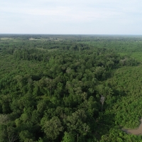 Recreational Hunting Land with Marketable Timber For Sale in Prescott  AR