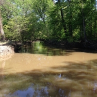 Recreational Hunting Land with Marketable Timber For Sale in Prescott  AR images 5