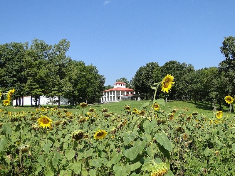 Arkansas Plantation Home For Sale featured image