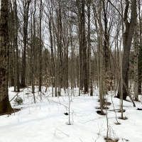 19 acres Near Salmon River ATV Trails Altmar NY