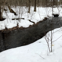 19 acres Near Salmon River ATV Trails Altmar NY images 2