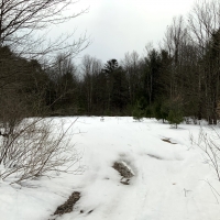19 acres Near Salmon River ATV Trails Altmar NY images 3