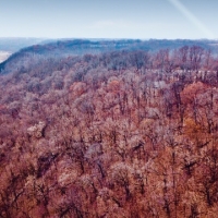 22  - Acres Allamakee County  IA images 3