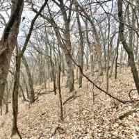 22  - Acres Allamakee County  IA images 6