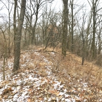22  - Acres Allamakee County  IA images 5