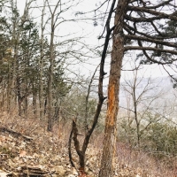 22  - Acres Allamakee County  IA images 4