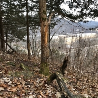 22  - Acres Allamakee County  IA images 2