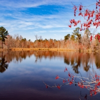 Rock Branch Preserve