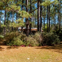 Rock Branch Preserve images 5