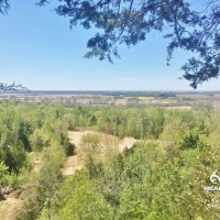 Hardwood Hunting Land for Sale Satartia  Yazoo County  MS images 2