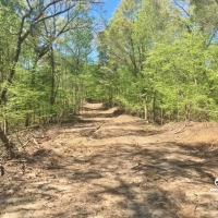 Hardwood Hunting Land for Sale Satartia  Yazoo County  MS images 4