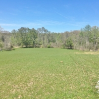 Hardwood Hunting Land for Sale Satartia  Yazoo County  MS images 5