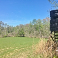 Hardwood Hunting Land for Sale Satartia  Yazoo County  MS images 6