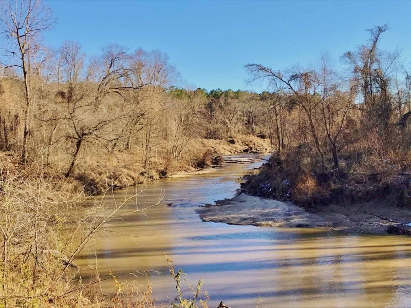 176 Acres Hunting Timberland for Sale with CRP Charleston MS featured image