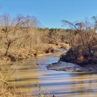 176 Acres Hunting Timberland for Sale with CRP Charleston MS