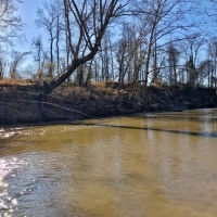 176 Acres Hunting Timberland for Sale with CRP Charleston MS images 2